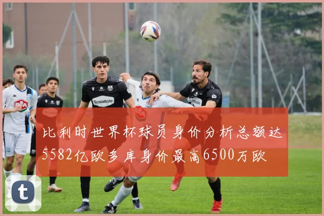 比利时世界杯球员身价分析总额达5582亿欧多库身价最高6500万欧