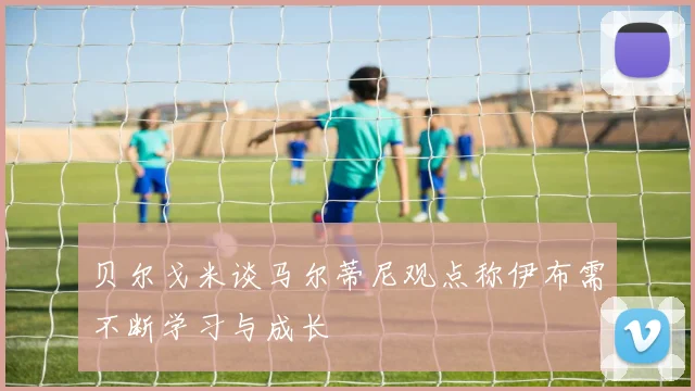 贝尔戈米谈马尔蒂尼观点称伊布需不断学习与成长